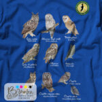 T-Shirt ASOIM "Serie completa rapaci notturni" Taglia XL/blu royal - immagine 2